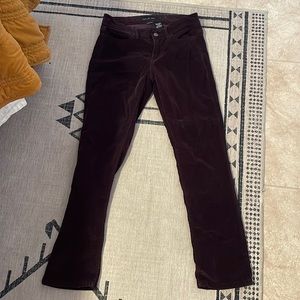 Plum Calvin Klein straight pants